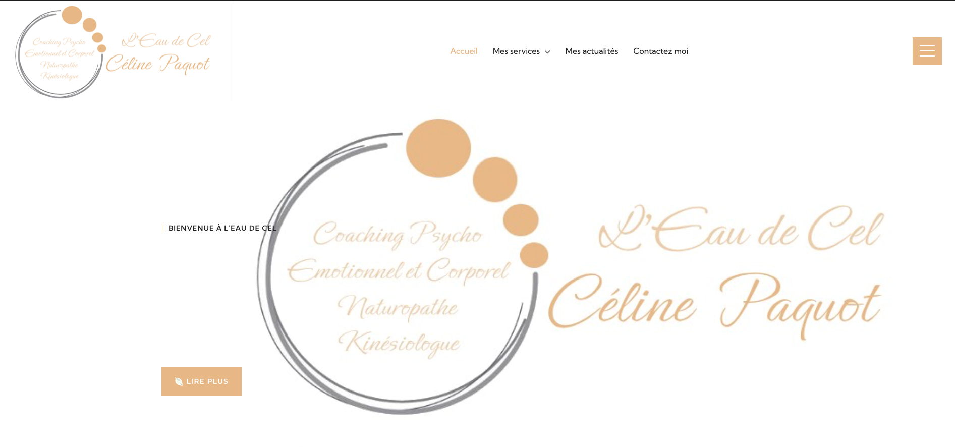 Capture du site Eau Decel